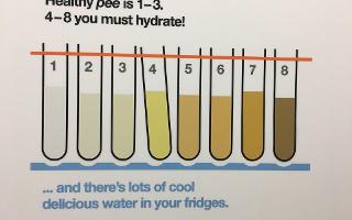 How Well Do You Hydrate?