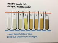 How Well Do You Hydrate?