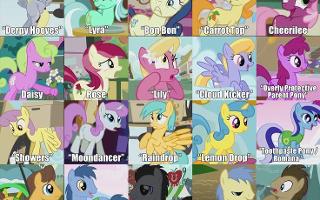 Which back round pony are you?