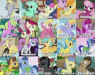 Which back round pony are you?