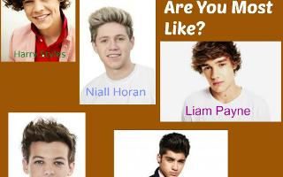 Which One Direction Boy Are You Most Like?