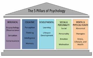 Testing Your Moral Psychology