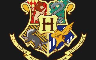 What Hogwarts House Are You? (3)