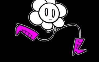 Would Flowey kill you?