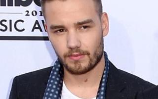 How well do you know Liam Payne? (2)