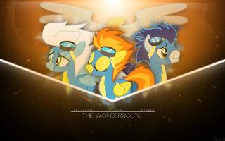 which mlp wonderbolt r u?