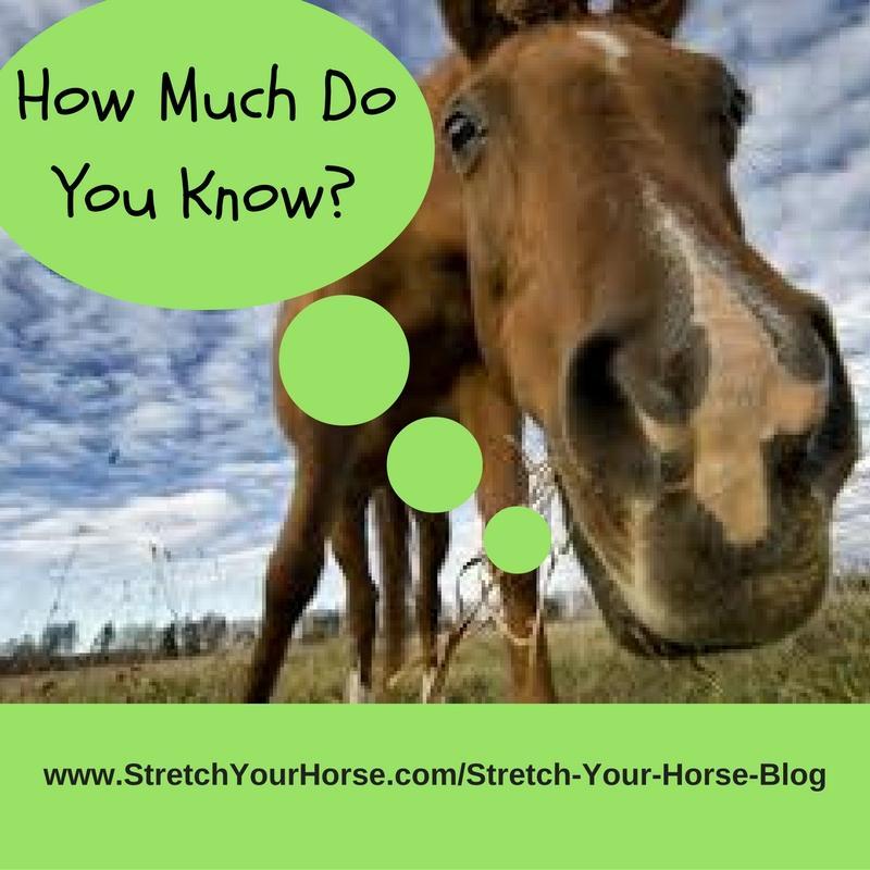 How much do you know about horses? (3) - Scored Quiz