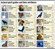 How to figure out your spirit animal?