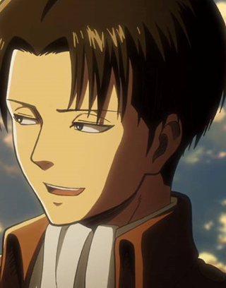 Do you know Levi Ackerman well?