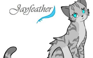 How well do you know Jayfeather?