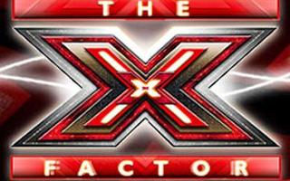 How well do you know the X factor?