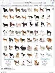 Do you know your dog breeds?