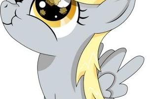 Did Derpy Hooves Eat you or the video camera