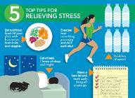 Discover Your Stress Management Style