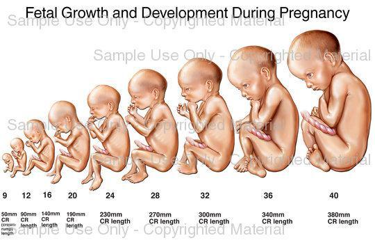 How To Develop Baby Intelligence During Pregnancy