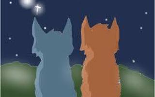 Which Warrior cat couple describes your relationship?