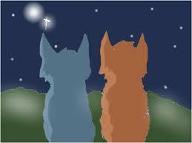 Which Warrior cat couple describes your relationship?