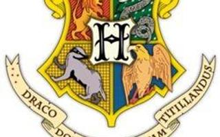 What Hogwarts House Are You? (2)