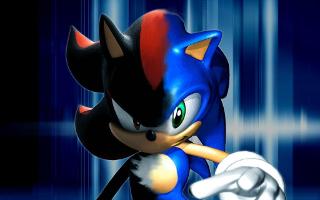 Are you sonic or shadow