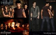 The Twilight Saga Test (first series)