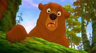 Are You A Diehard Brother Bear fan?