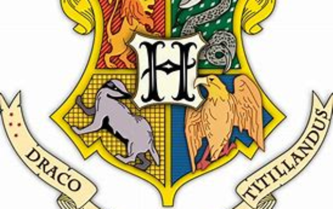 Which Hogwarts House do you Belong in? (2)