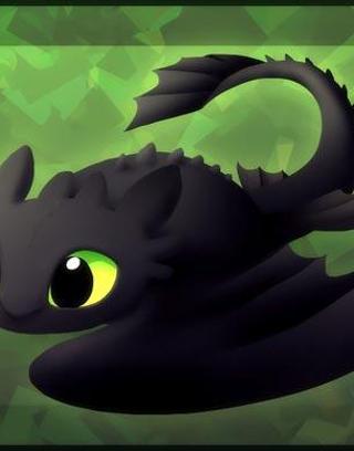 How To Train Your Dragon Quiz!