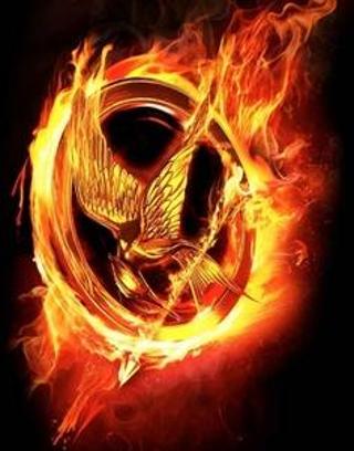 How well do you know The Hunger Games and Catching fire?