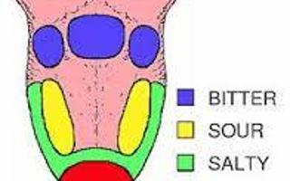 Are you sweet, sour, salty or bitter?