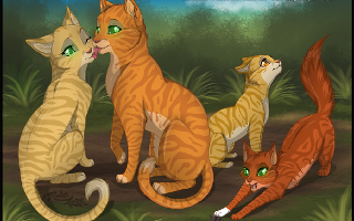 warrior cats amazing quiz!