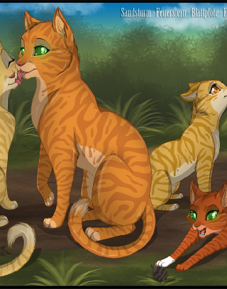 warrior cats amazing quiz!