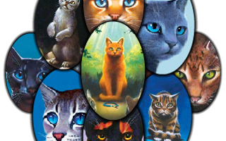 Warrior Cats Scored Quiz!