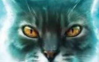 Extreme insane Warrior Cats quiz