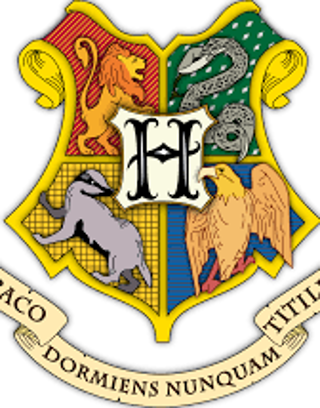 What Hogwarts house are you in? (3)