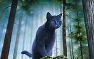 Warrior cat quiz (2)