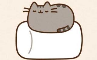 Pusheen Cat Quiz