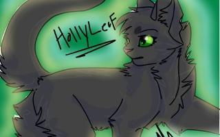 How much do you know about Hollyleaf?