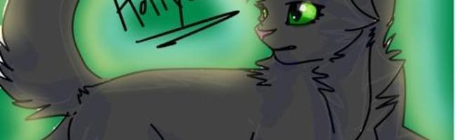 How much do you know about Hollyleaf?