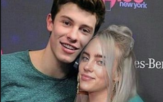 do you love love shawn mendes or billie eilish more?