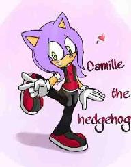 How Well Do You Know Camille The Hedgehog