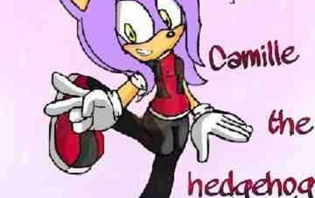 How Well Do You Know Camille The Hedgehog