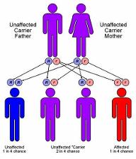 Test Your Knowledge on Heredity!