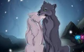 Wolf Love