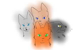 what warrior cat clan are you from?