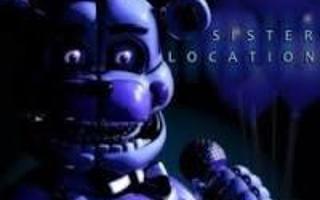 Which sister location fnaf character are you ?