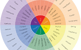 What Kind of Feeling Type Are You?