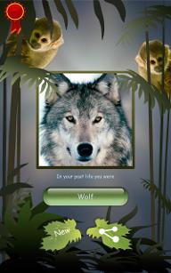 What Wolf Are You? (4)