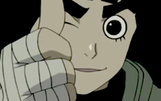 What do you know about Rock Lee?