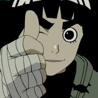 What do you know about Rock Lee?