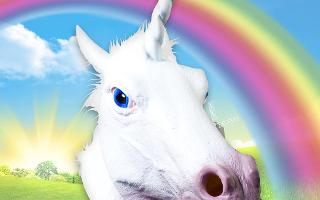 Which Unicorn Are You? (1)